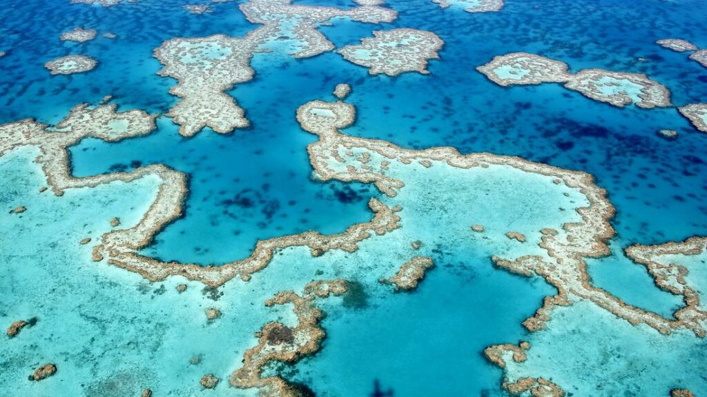 Vue aérienne de récifs coralliens aux formes sinueuses dans une eau turquoise et bleu profond