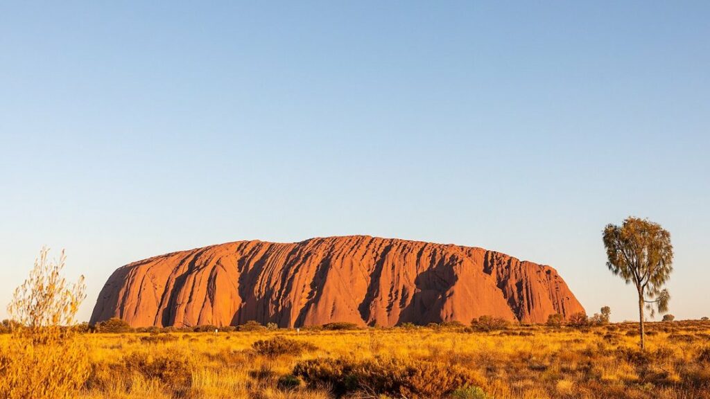 Le massif rocheux d'Uluru, d'un ocre rouge, au-dessus d'une plaine de broussailles dorées sous un ciel dégagé