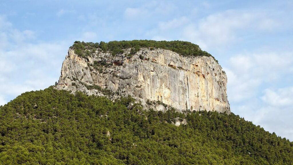 Falaise de calcaire clair couronnée de végétation et dominant un versant de forêt, dans la montagne de Majorque
