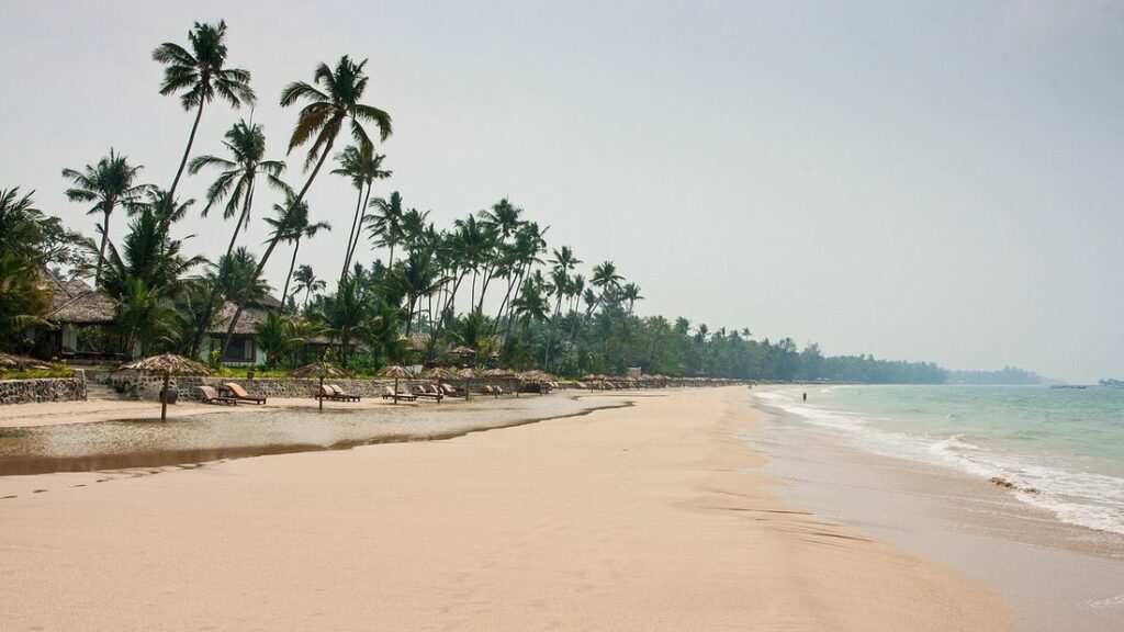 Longue plage de sable clair bordée de cocotiers, avec des transats sous les arbres et des vagues à droite