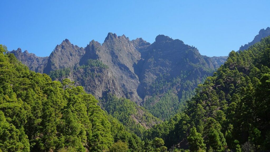 Pics rocheux de la Caldera de Taburiente dominant des pentes couvertes de pins, sous un ciel bleu