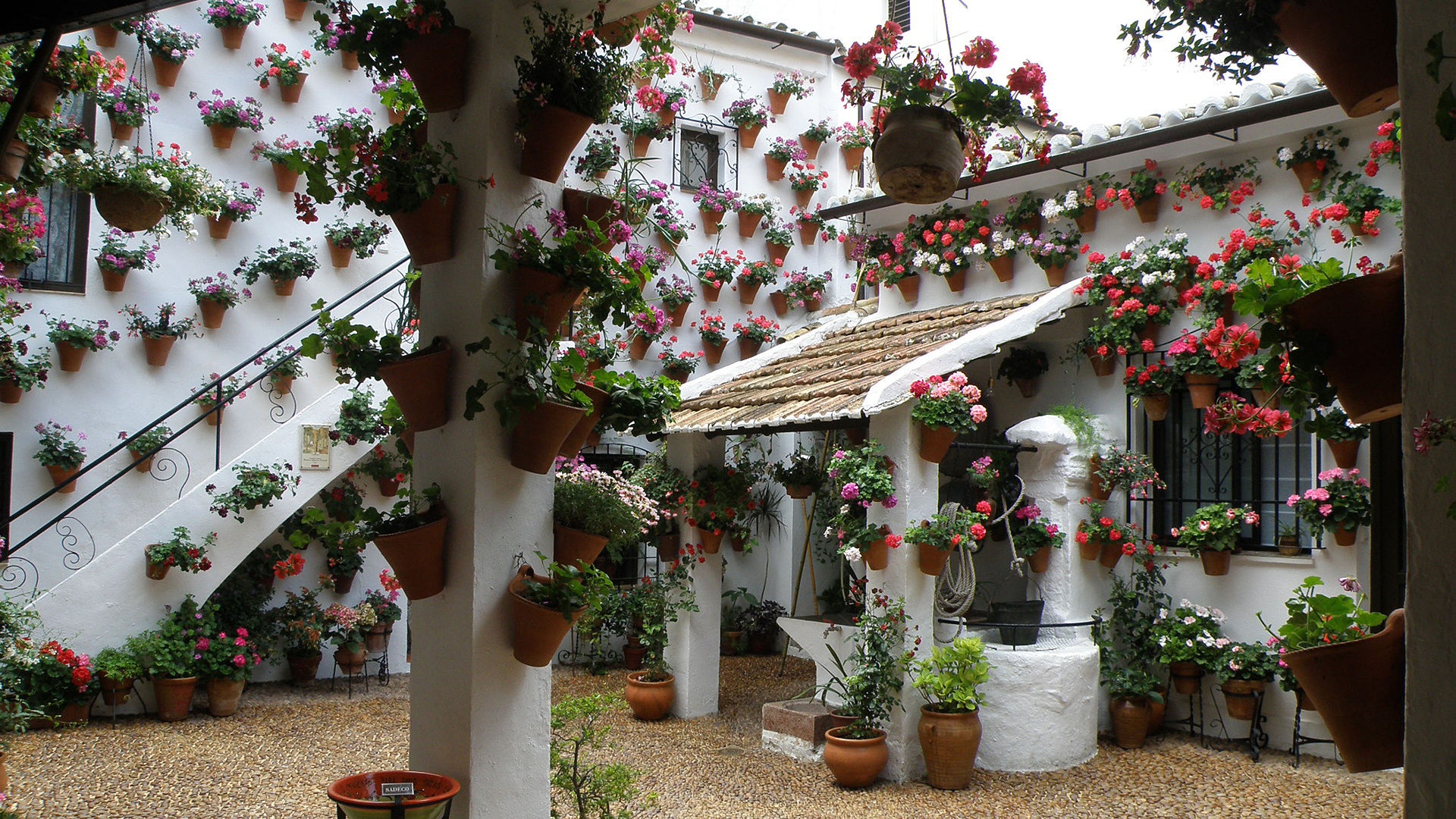 Cour intérieure aux murs blancs couverts de pots de géraniums rouges, roses et blancs, avec un puits et un escalier