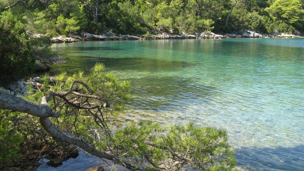 Eau turquoise d'un lac bordé de pins et de rochers clairs sur l'île de Mljet