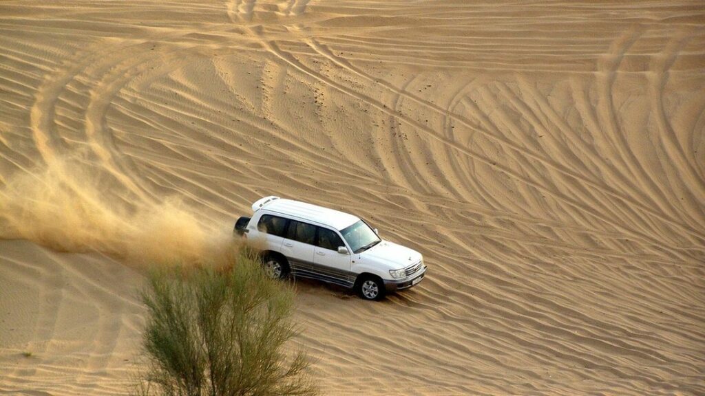Un 4x4 blanc traverse une dune de sable doré marquée de traces de pneus, avec un buisson au premier plan