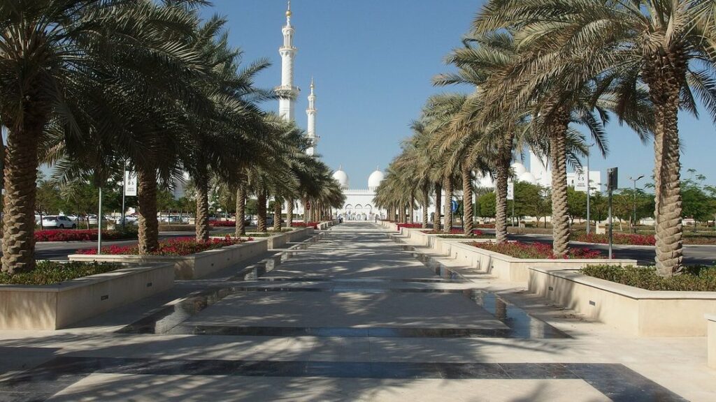 Allée dallée bordée de palmiers menant à la Grande Mosquée Sheikh Zayed, dont les minarets blancs dépassent au fond