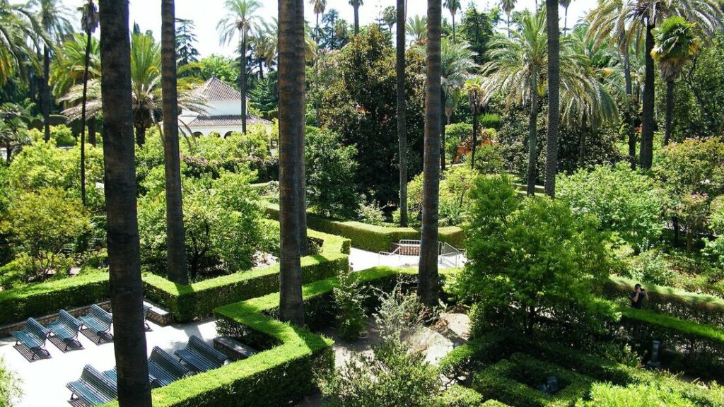 Jardin vu d'en haut, avec haies taillées en bordures, hauts palmiers, massifs verts et bancs au premier plan