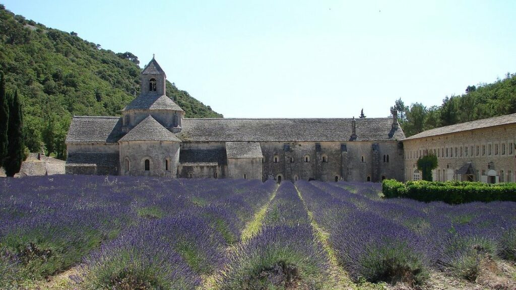 Rangs de lavande violette devant une abbaye de pierre aux toits gris, au pied d'une colline boisée