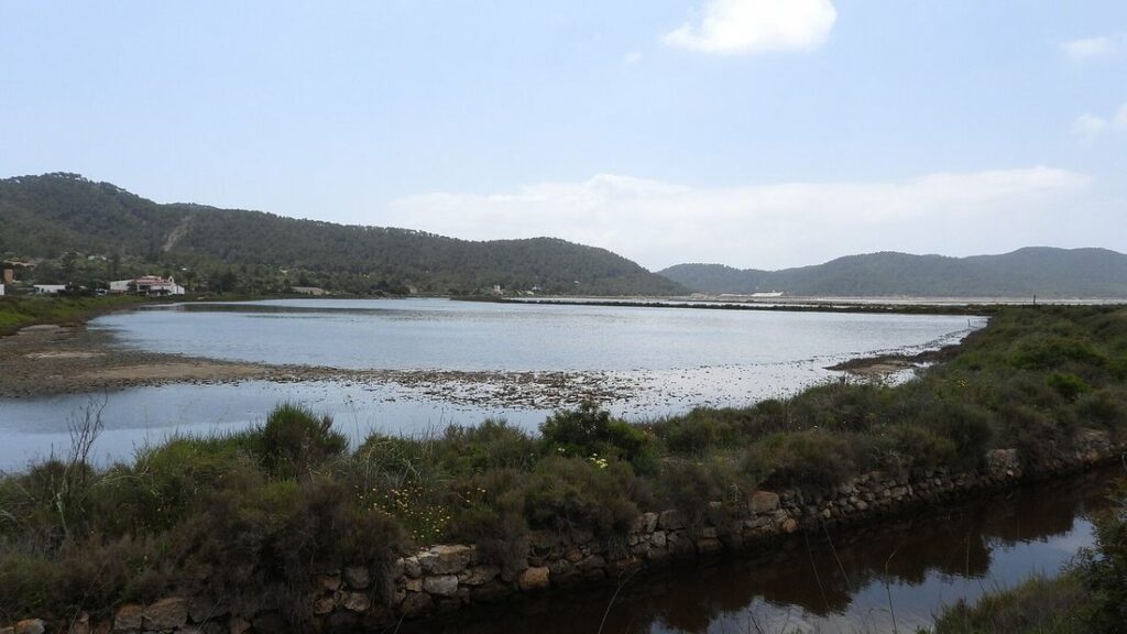 Lagune des salines de Ses Salines, bordée de végétation basse, avec des collines au loin
