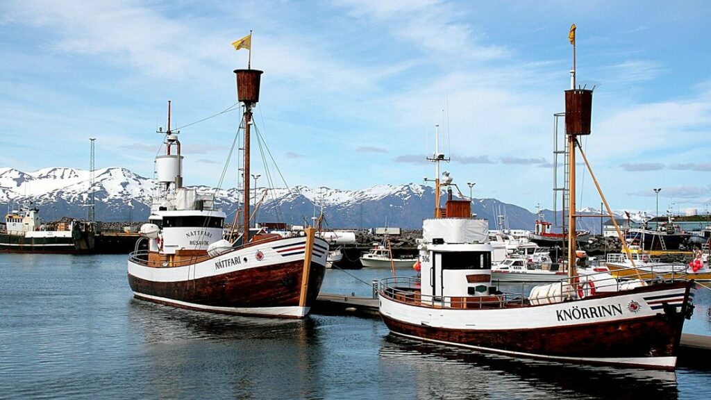 Deux bateaux en bois aux coques blanches et brunes amarrés dans un port, avec des montagnes enneigées derrière