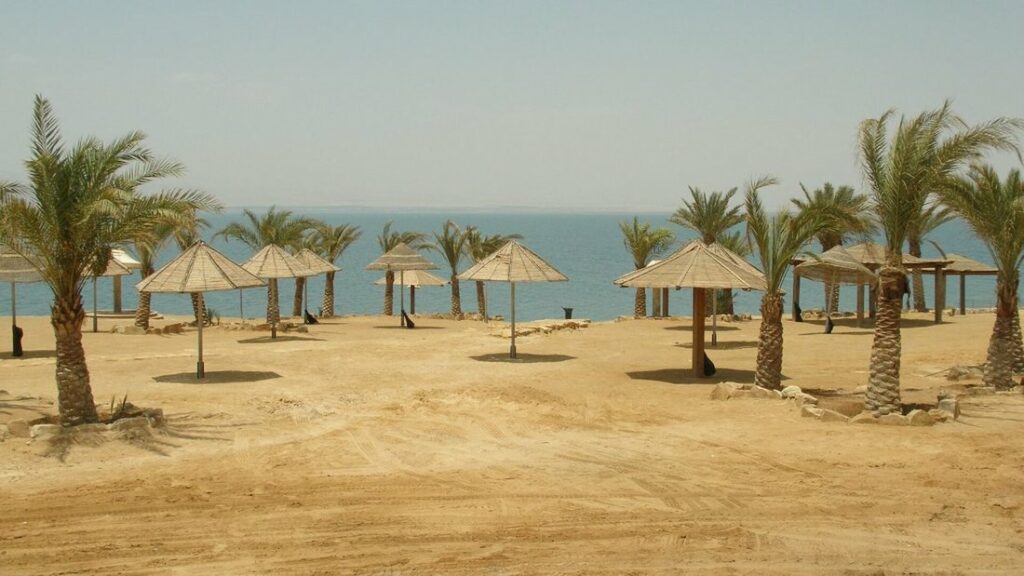 Plage de sable avec des palmiers et des parasols de paille, au bord d'une mer calme sous un ciel voilé