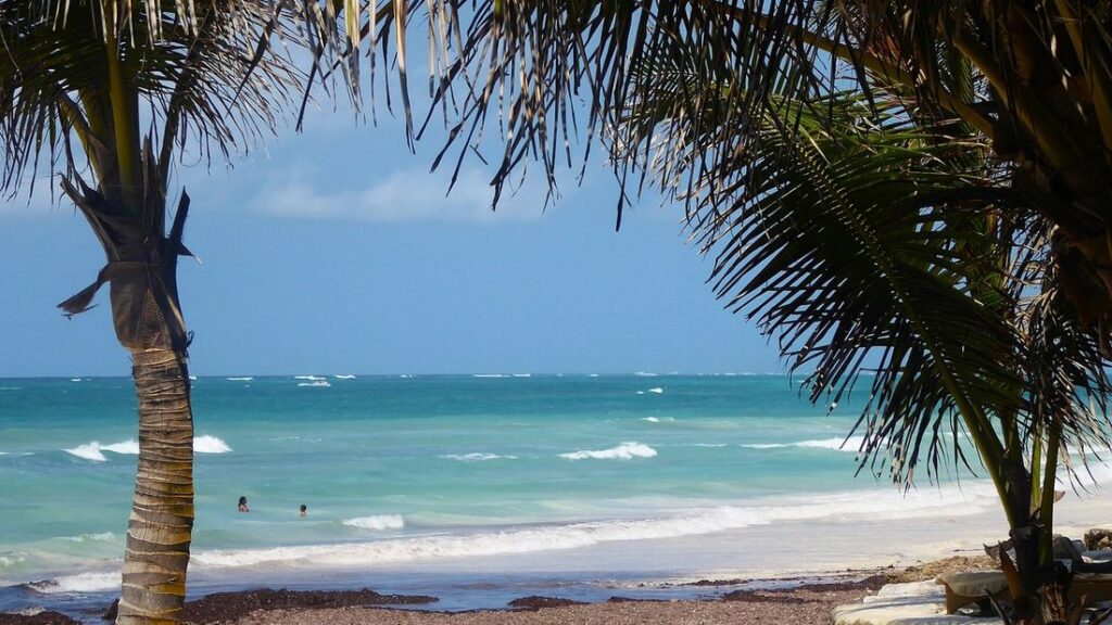 Plage de sable blanc bordée de palmiers face à une eau turquoise, à Diani