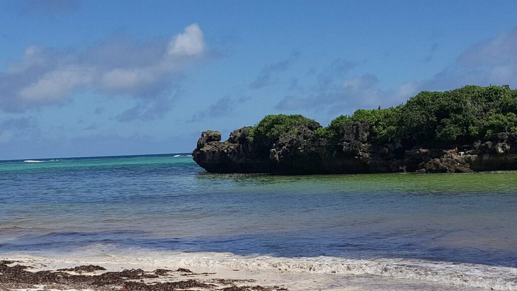 Îlot rocheux couvert de végétation sur un océan bleu, avec des vagues sur la plage de Watamu