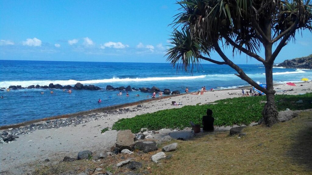 Plage de galets et de sable devant une mer bleue agitée, avec un pandanus et des baigneurs