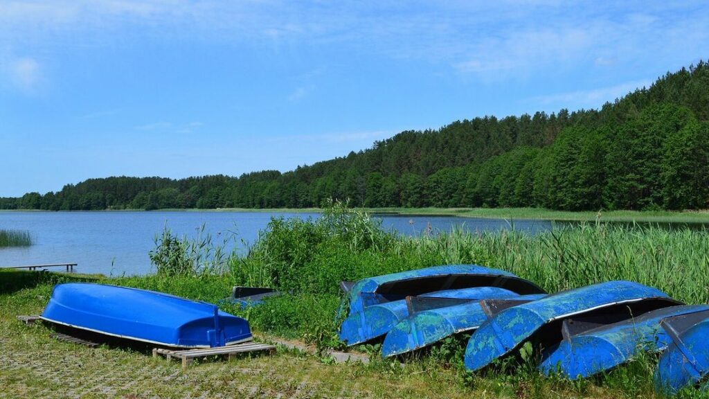 Barques bleues posées sur l'herbe au bord d'un lac, devant une lisière de forêt de pins