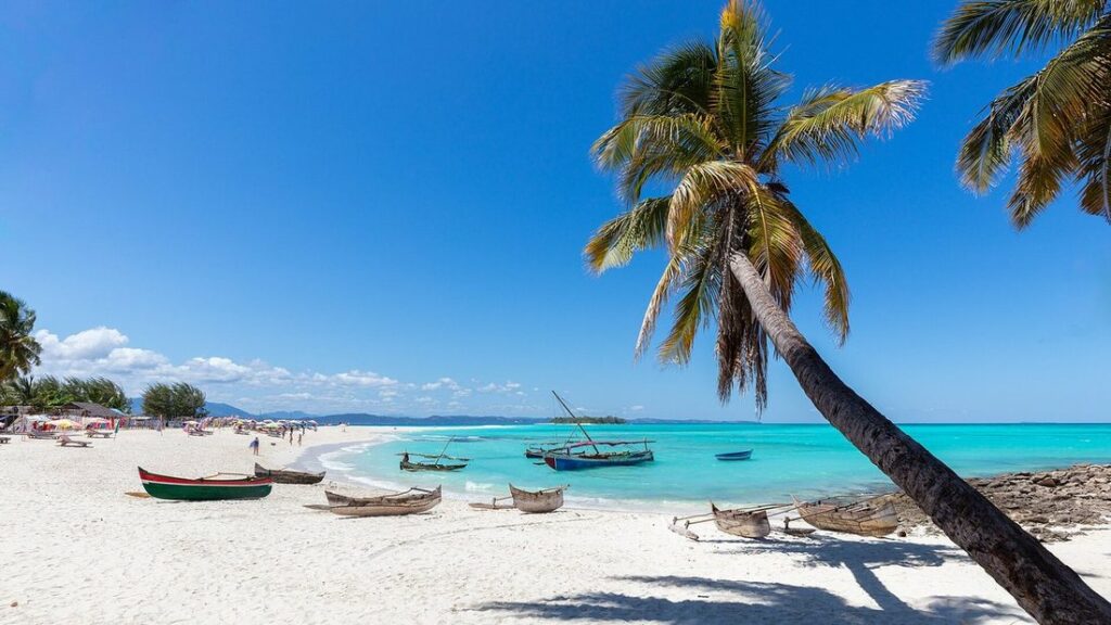 Plage de sable blanc et eau turquoise, avec un palmier penché et des pirogues posées sur le sable