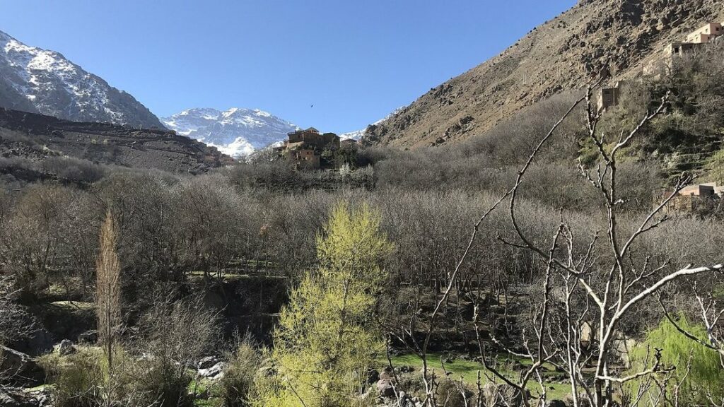 Vallée d'Imlil dans le Haut Atlas, avec des arbres au premier plan et des sommets enneigés au fond