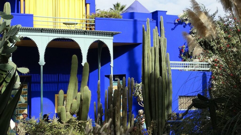 Façade bleu vif aux arcades du jardin Majorelle, avec de grands cactus au premier plan