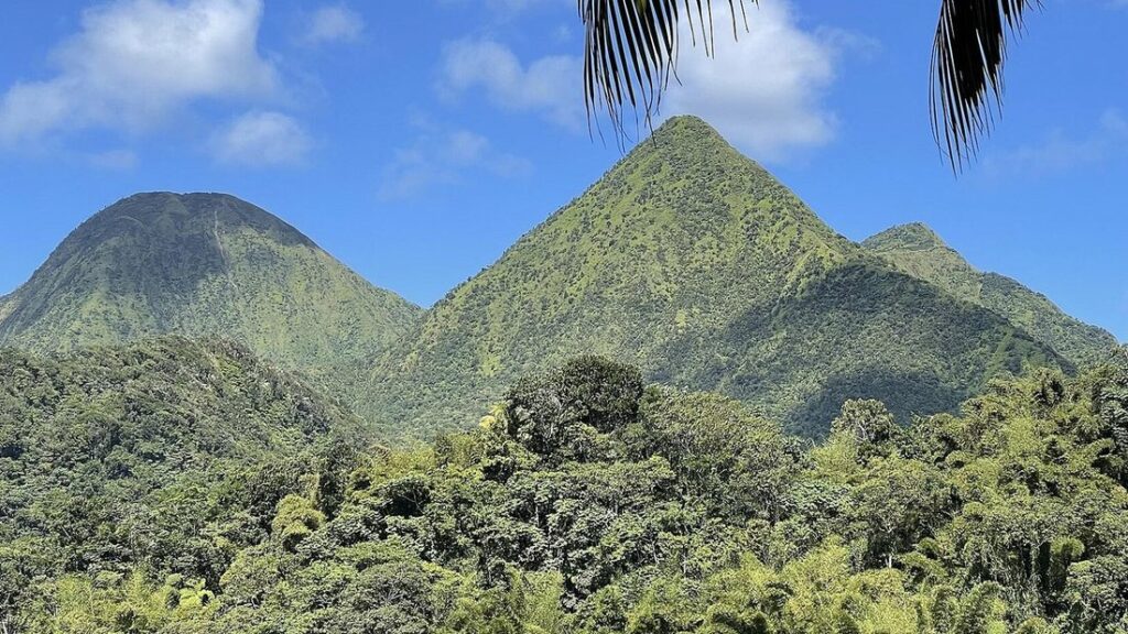 Deux sommets pointus couverts d'une végétation dense, au-dessus d'une forêt, sous un ciel bleu à quelques nuages