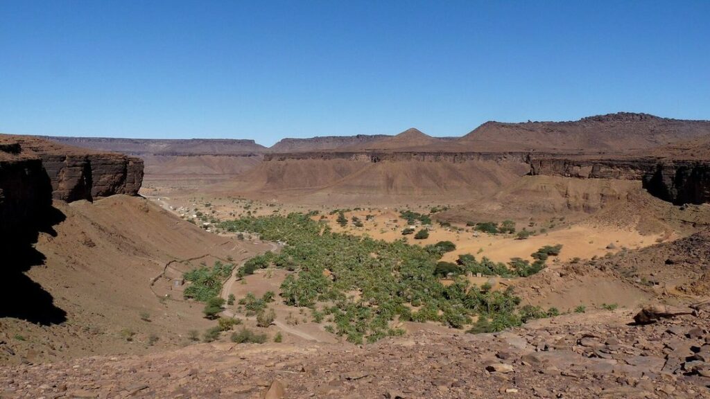 Palmeraie verte au fond d'un canyon rocheux, entourée de falaises rousses sous un ciel bleu