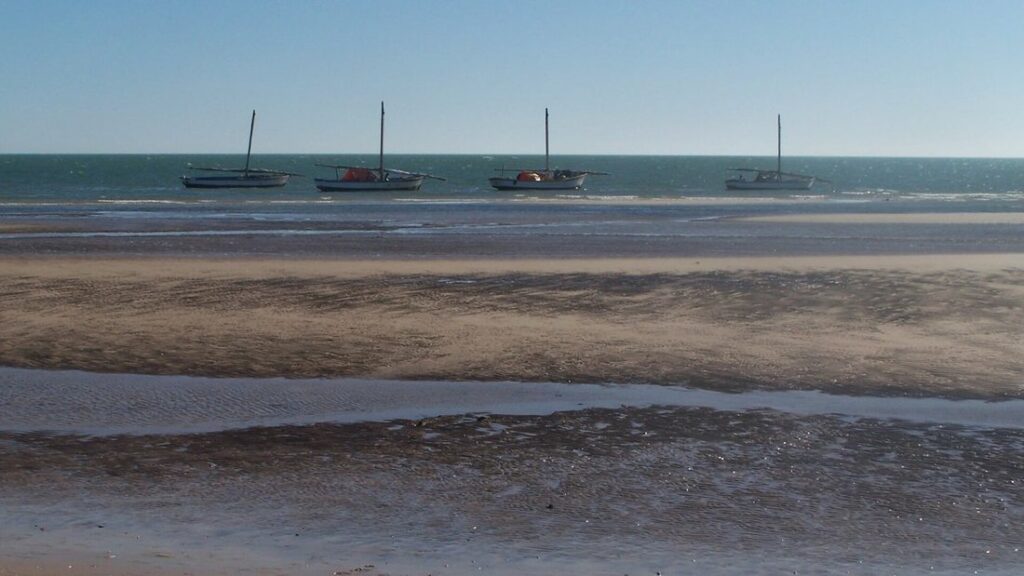 Quatre barques à mât alignées au large sur une mer calme, derrière une large étendue de vase humide