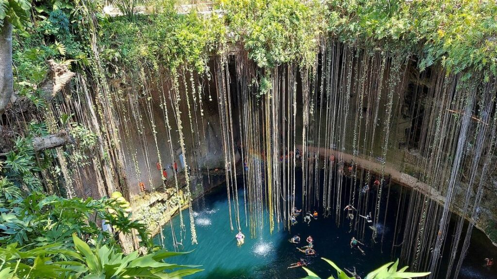 Cénote ouvert aux lianes tombantes, avec un bassin d'eau turquoise en contrebas