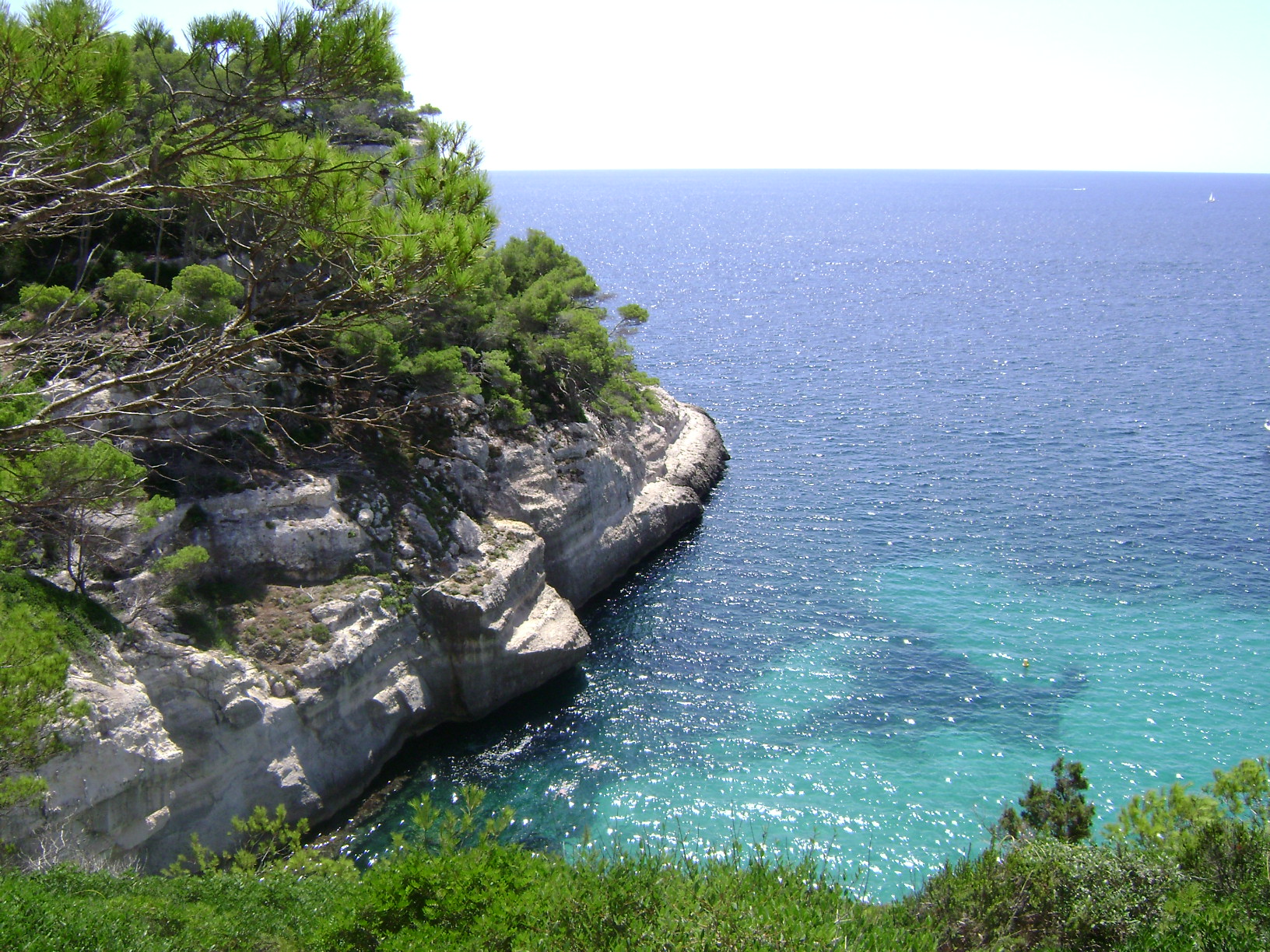 Crique de Minorque aux eaux turquoise entourée de pins et de falaises basses