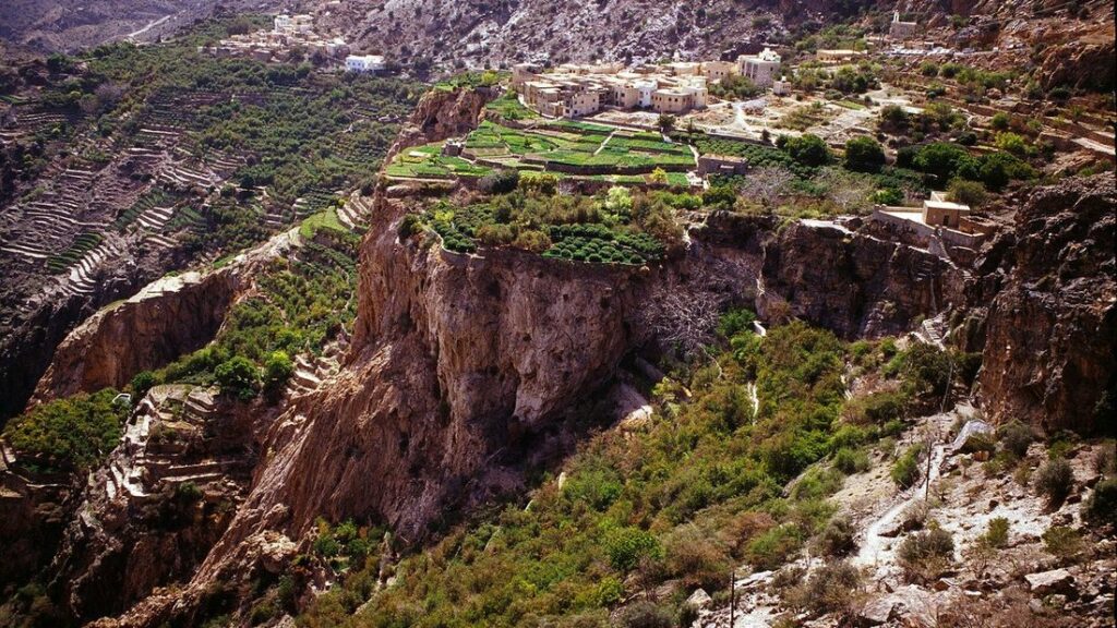 Jardins en terrasses verts accrochés à un promontoire rocheux dans le djebel Akhdar