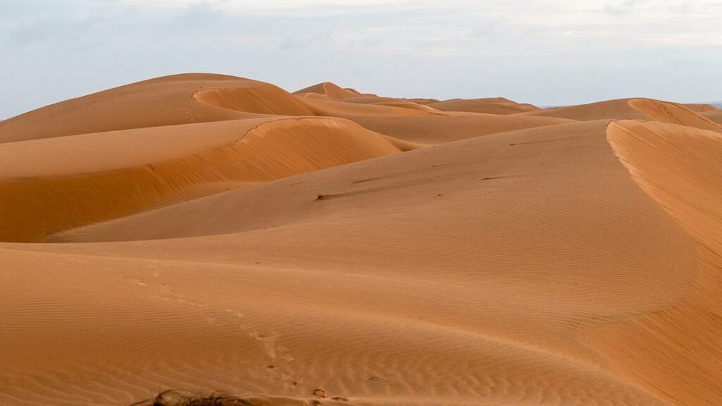 Dunes de sable orangé aux crêtes ondulées dans le désert de Wahiba, sous un ciel clair