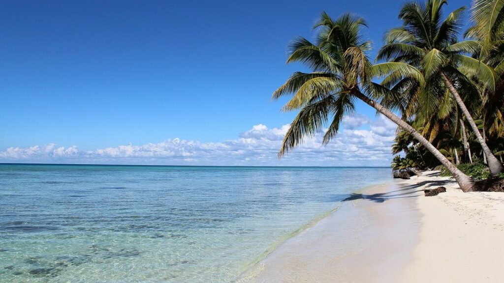 Palmiers penchés au-dessus d'une plage de sable blanc et d'une eau turquoise sous un ciel bleu