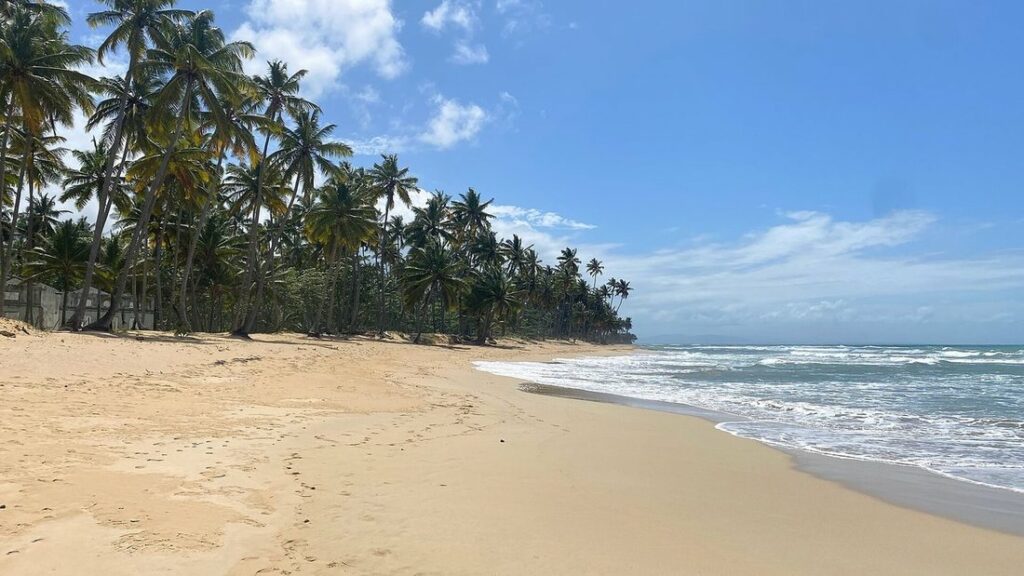 Grande plage de sable doré bordée de cocotiers, avec des vagues qui roulent sur le rivage