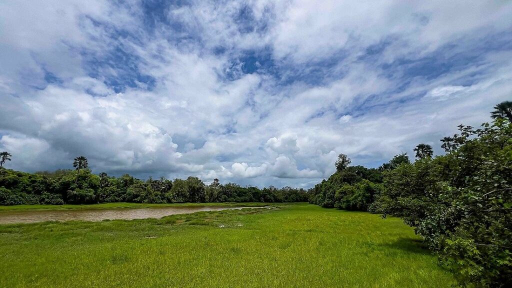 Prairie verte et lisière de forêt sous un grand ciel nuageux, dans le parc de Niokolo-Koba