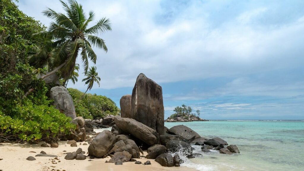 Plage de sable clair semée de blocs de granit, avec un palmier, une mer turquoise et un îlot au loin