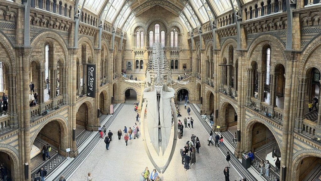 Grand hall du Natural History Museum de Londres vu d'en haut, avec un squelette de baleine suspendu et des visiteurs