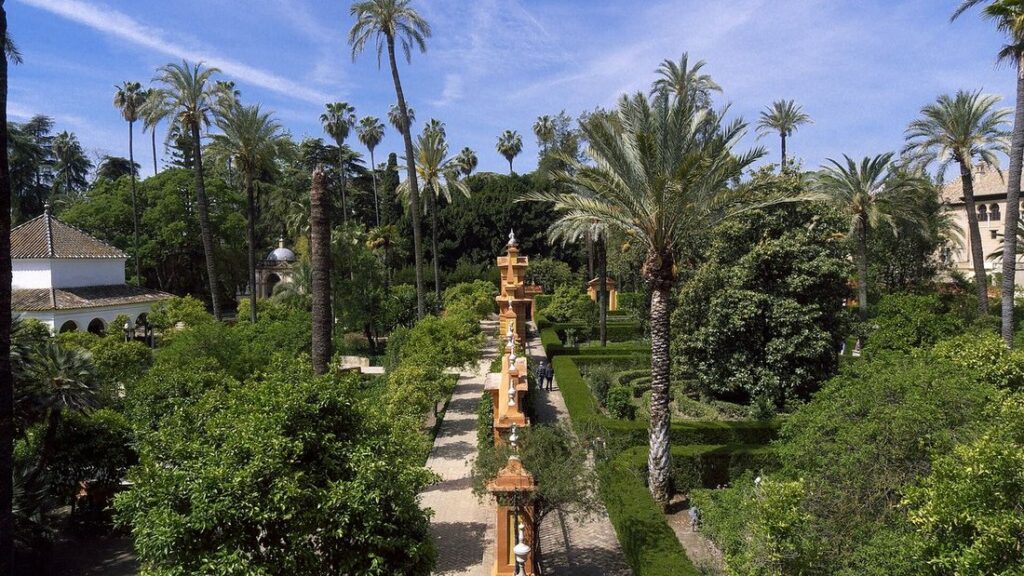 Jardin du Real Alcázar de Séville : allée entre haies taillées, palmiers et arbres, pavillon blanc à gauche