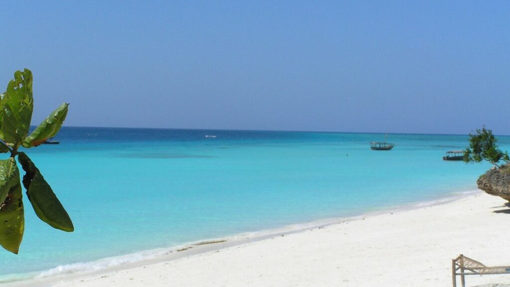Plage de sable blanc et eau turquoise sous un ciel bleu, avec une grande feuille verte au premier plan