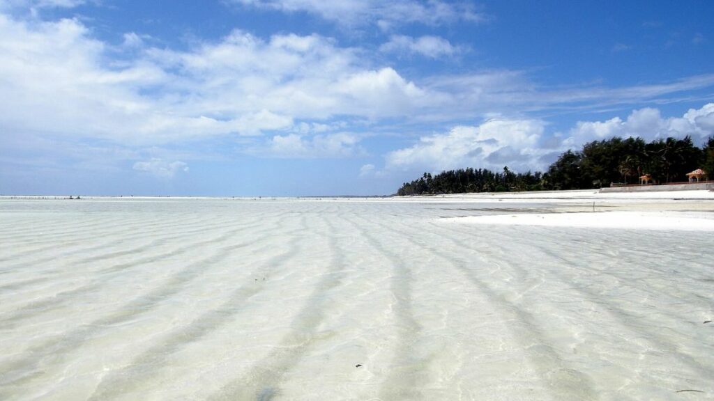 Plage de sable blanc à marée basse, avec des nappes d'eau peu profonde et une bande d'arbres au loin