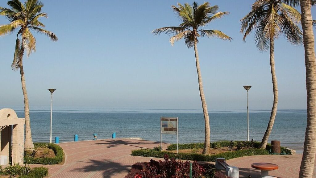 Esplanade au bord de la mer à Mascate, bordée de palmiers, avec une mer calme sous un ciel dégagé