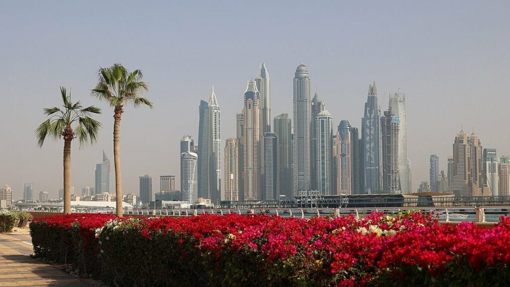 Gratte-ciel de Dubai Marina derrière une haie de bougainvilliers rouges et deux palmiers, sous un ciel voilé