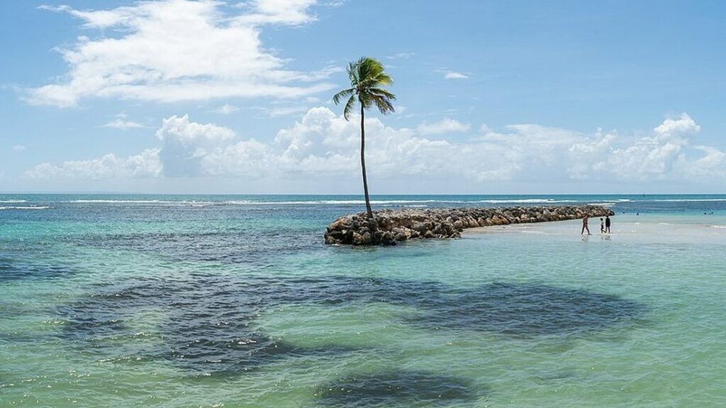 Un cocotier isolé au bout d'une langue de pierres dans une mer turquoise peu profonde, sous un ciel de cumulus