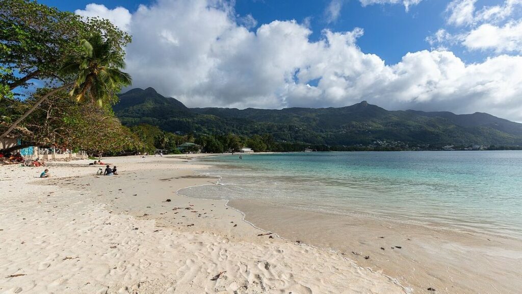 Plage de sable clair et eau turquoise peu profonde, palmier à gauche, montagnes boisées sous les nuages, à Beau Vallon