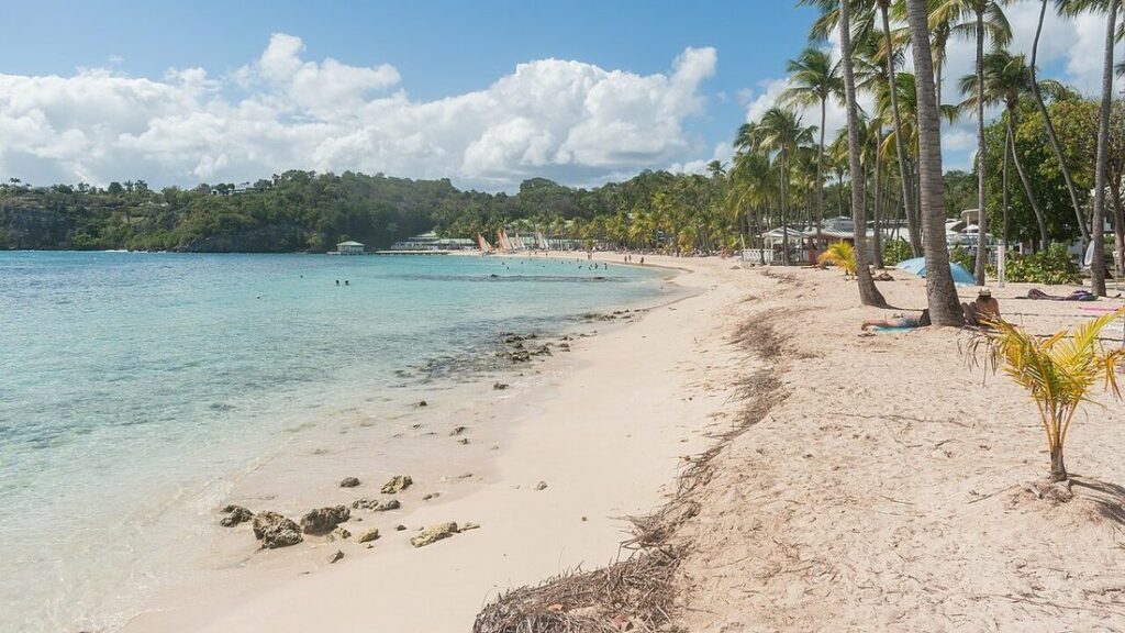 Plage de sable clair bordée de cocotiers, eau turquoise calme à gauche, végétation dense au fond, à la Caravelle