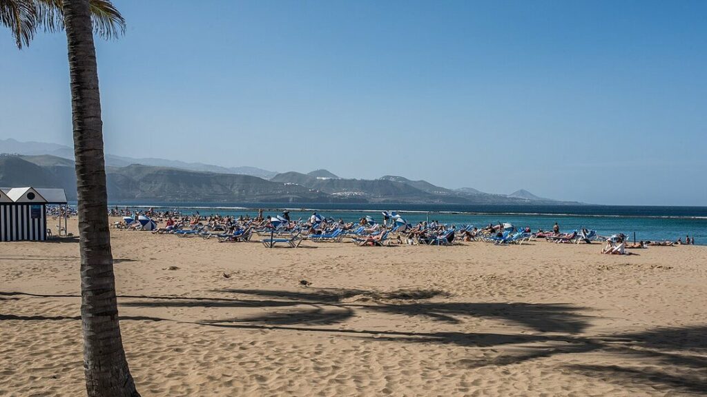 Plage de sable doré avec un palmier au premier plan, transats alignés au loin et montagnes au-delà de la mer