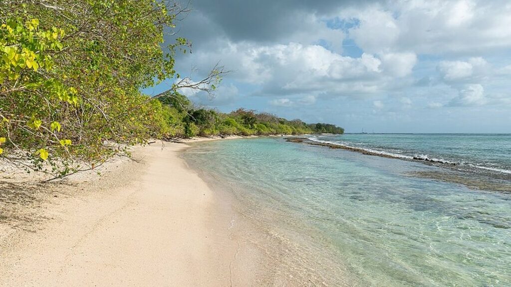 Plage de sable clair déserte bordée d'arbres, avec une mer turquoise peu profonde et une ligne de brisants au large