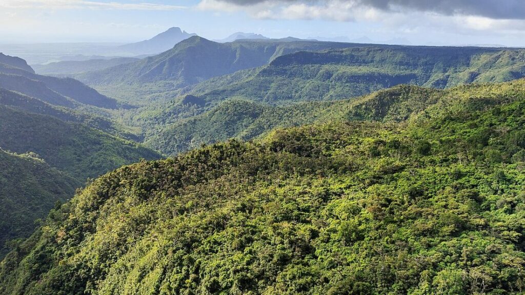 Collines couvertes de forêt dense et vallées profondes sous un ciel nuageux, dans les gorges de la Rivière Noire