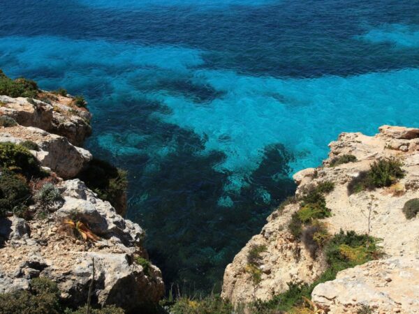 Eau turquoise vue du haut d'un rebord rocheux couvert de végétation basse, sur l'île de Comino, à Malte