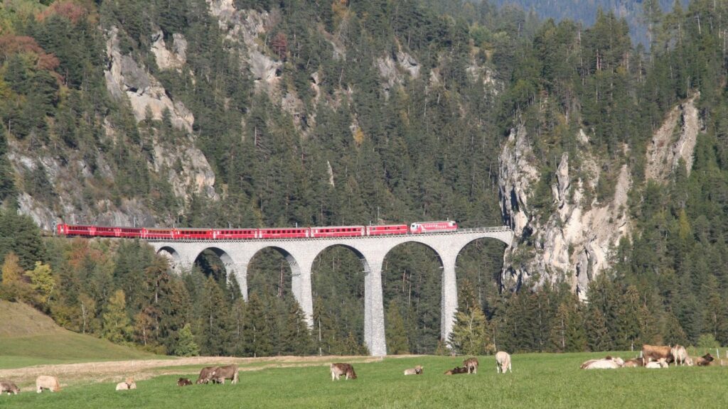 Un train rouge sur le viaduc du Landwasser, en Suisse, au-dessus d'un pré où paissent des vaches