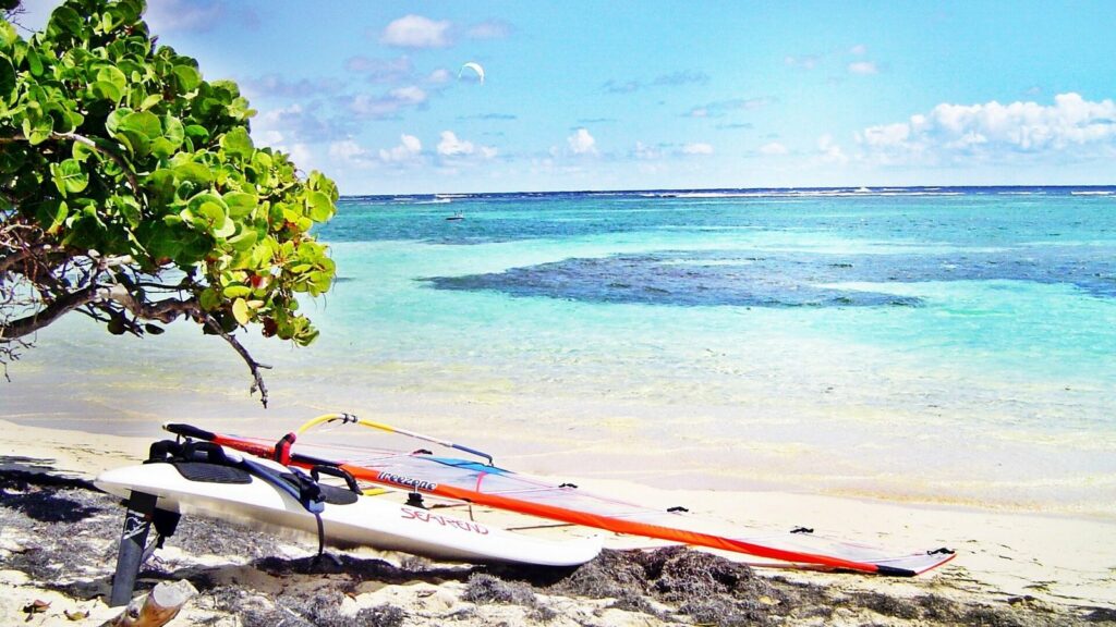 Planche à voile posée sur le sable d'une plage de la Martinique, devant une mer turquoise, sous un arbre au feuillage arrondi