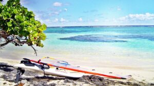Planche à voile posée sur le sable d'une plage de la Martinique, devant une mer turquoise, sous un arbre au feuillage arrondi