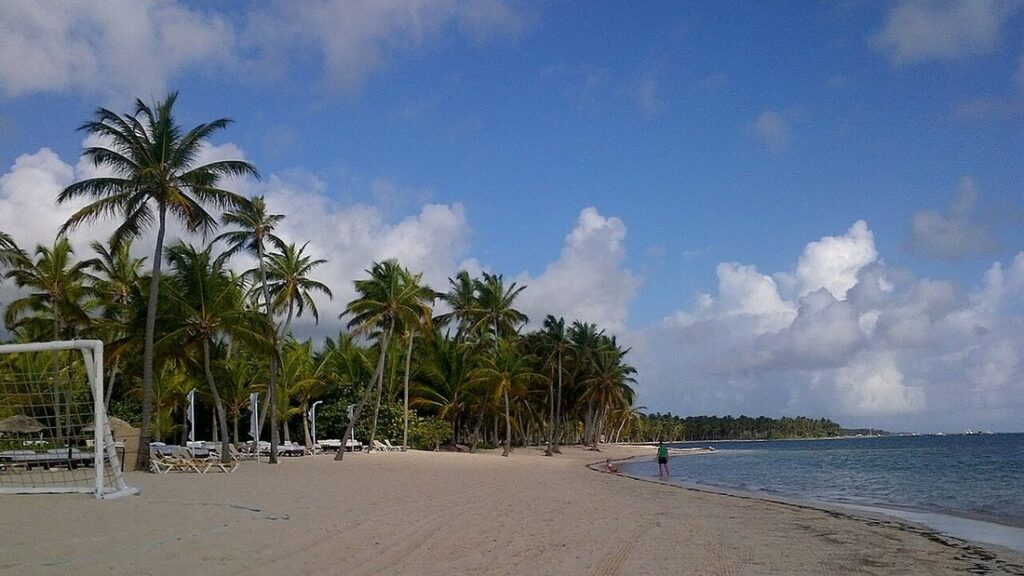 Plage de sable clair bordée de cocotiers sous un ciel bleu aux gros nuages blancs, transats à l'ombre des arbres