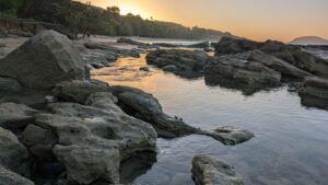 Rochers et vasques à marée basse sur une plage bordée de forêt, au coucher du soleil, plage de Clugny en Guadeloupe